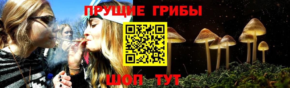 Галлюциногенные грибы прущие грибы Жигулёвск